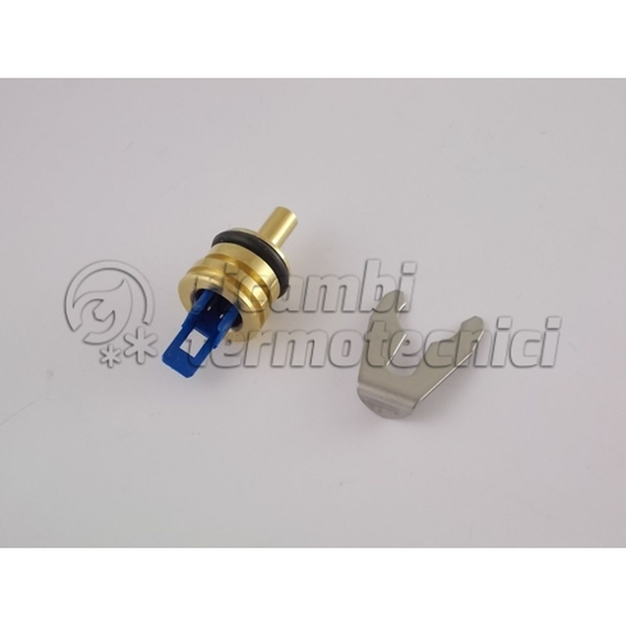ECOFLAM SONDA NTC