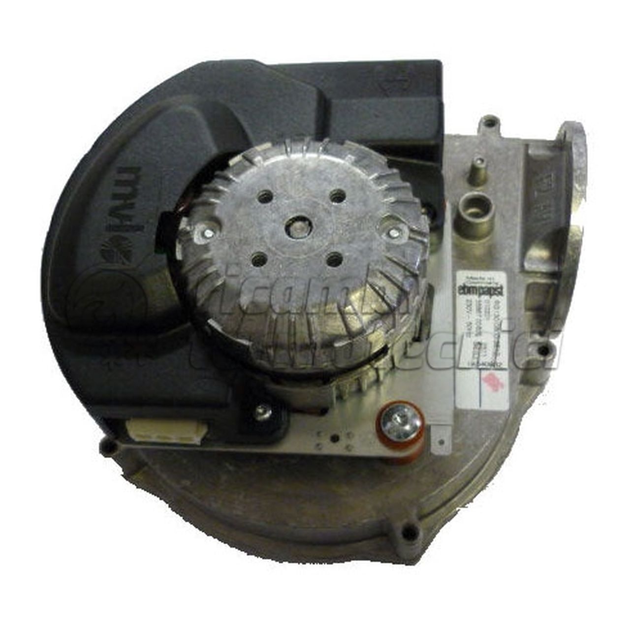 SOST. VENTILATORE RG 103-55667