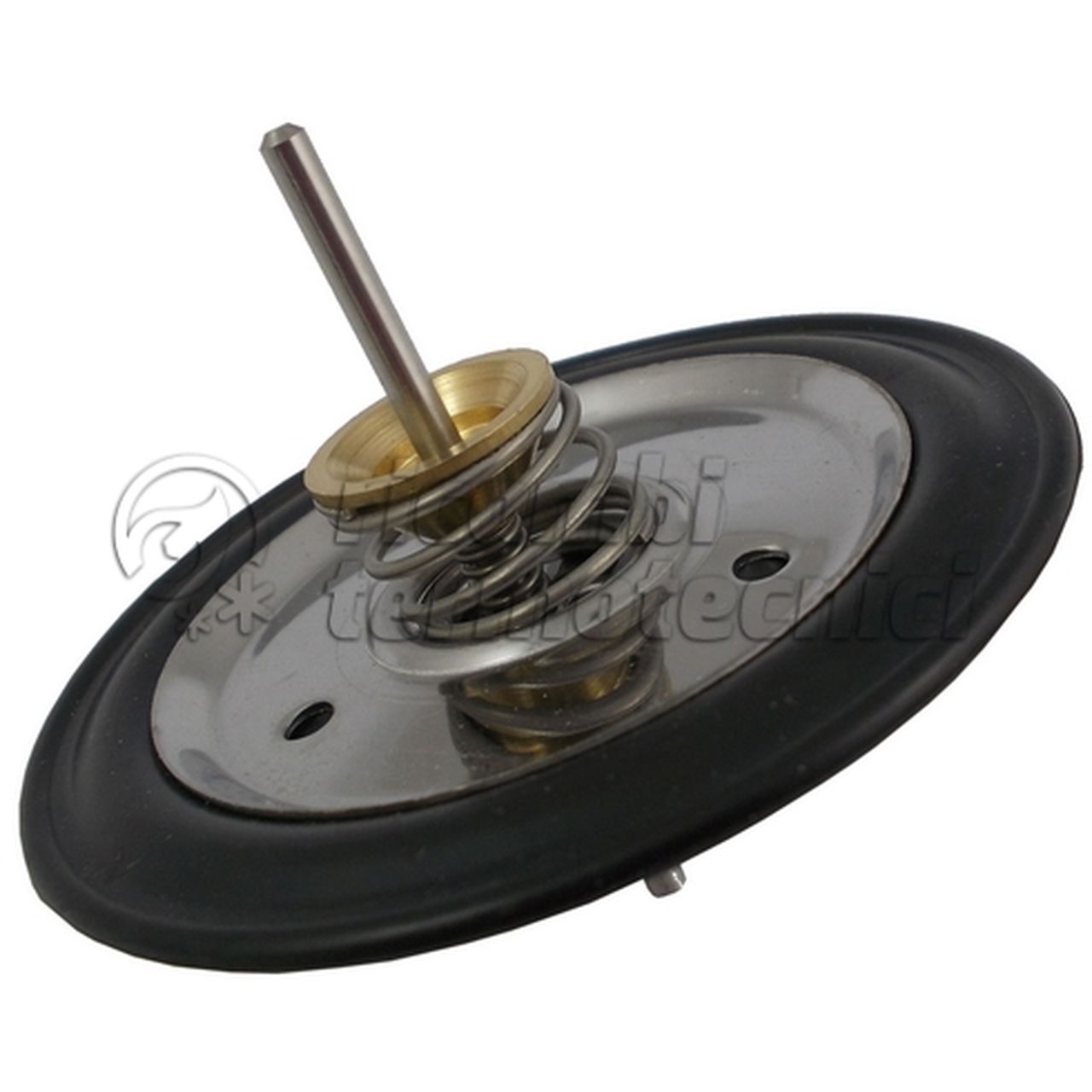 LAMBORGHINI ASSIEME MEMBRANA SNAV3324G-P383