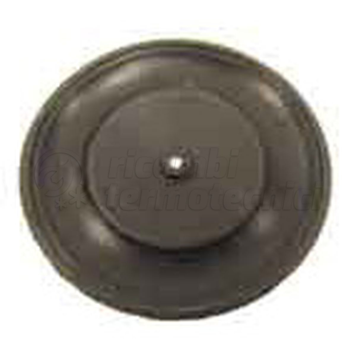 MEMBRANA ART. 47