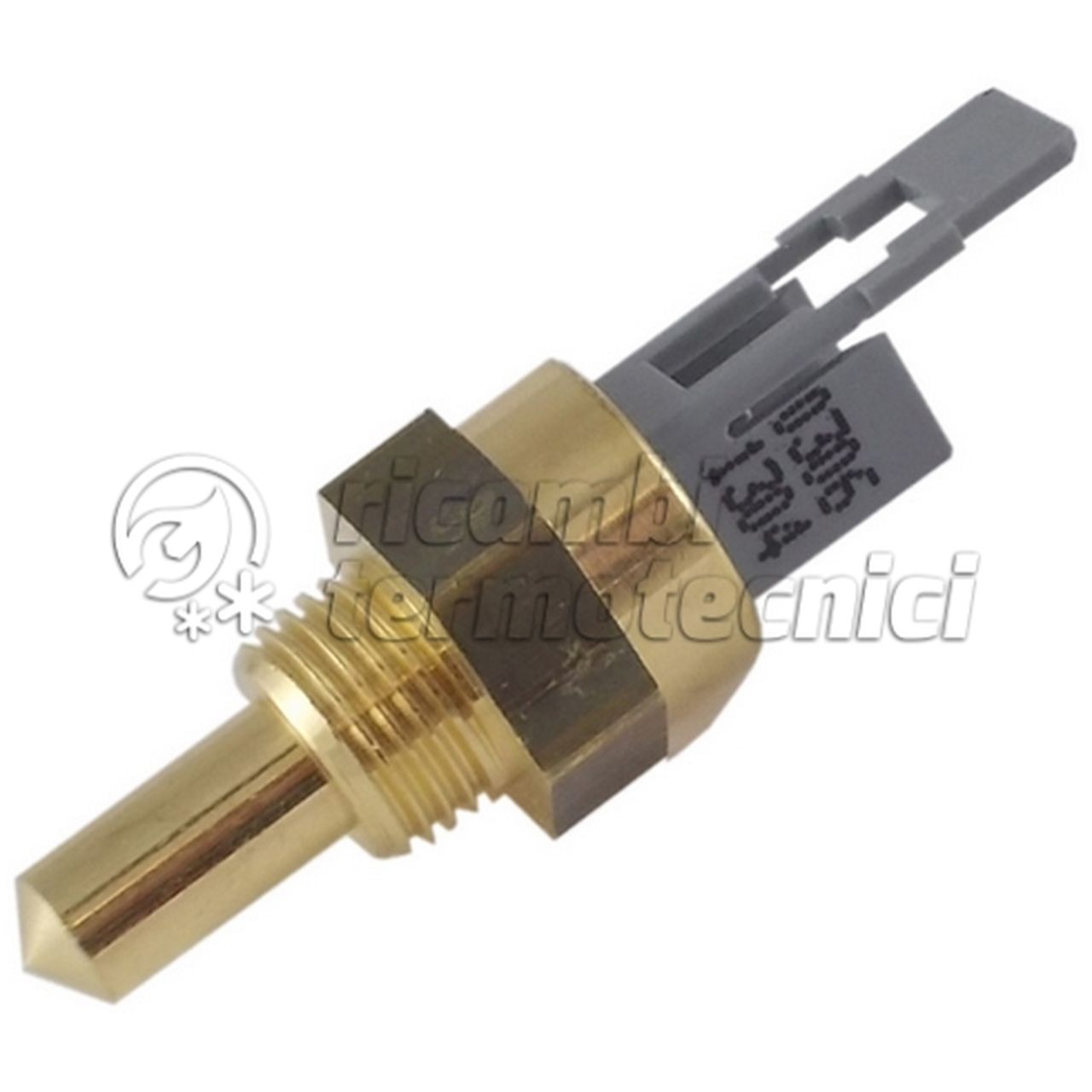 SILE SONDA IMMERSIONE TP06