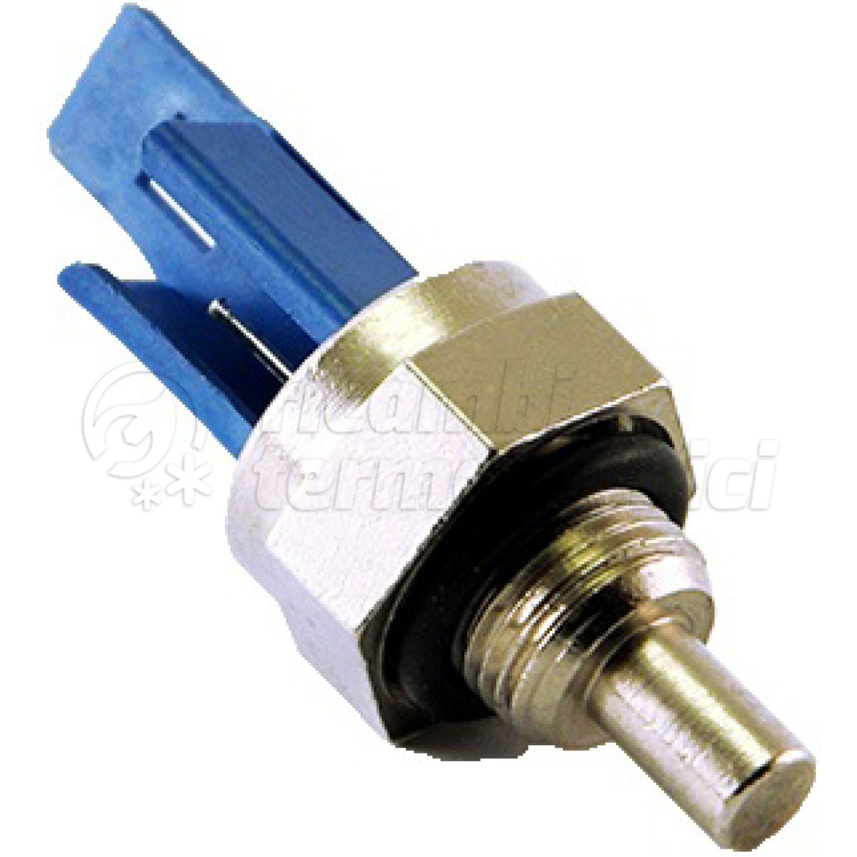 SONDA LAMBORGHINI BLU
