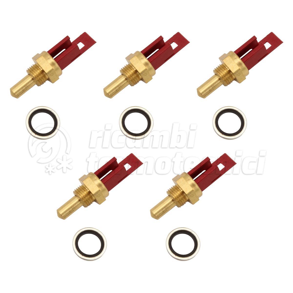 KIT SONDA IMMERSA CONF.5PZ