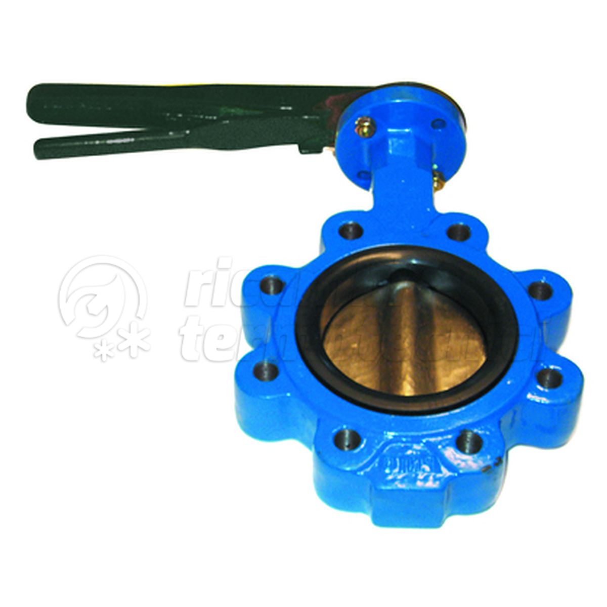 VALVOLA A FARF. LUG DN100 C/LEVA X ACQUA